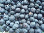 Health Benefits of Blueberries and Blueberry Juice