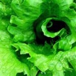 Lettuce Juice Health Benefits
