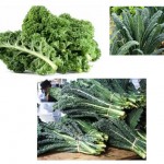 The Benefits of Kale and Kale Juice