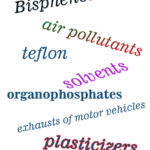 Environmental Toxicants and Their Health Impact!